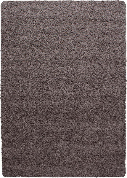 Hnědý koberec 60x110 cm Life – Ayyildiz Carpets