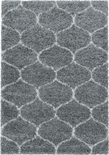 Šedý koberec 200x290 cm Salsa – Ayyildiz Carpets