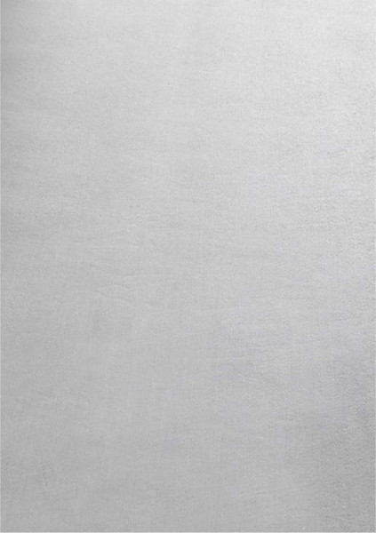 Světle šedý pratelný koberec 120x170 cm Sky – Ayyildiz Carpets