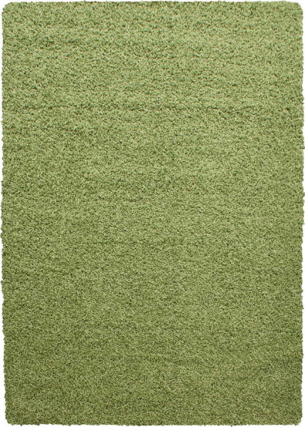 Zelený koberec 200x290 cm Life – Ayyildiz Carpets