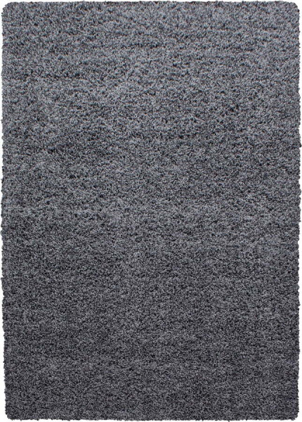 Tmavě šedý koberec 120x170 cm Life – Ayyildiz Carpets