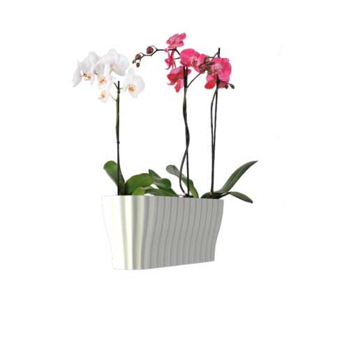 Nohel Garden Truhlík TRIOLA ORCHID plastový bílý 38 cm