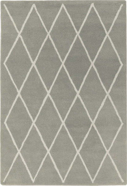 Šedý ručně tkaný vlněný koberec 120x170 cm Albany – Asiatic Carpets