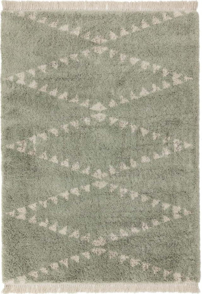 Zelený koberec 200x290 cm Rocco – Asiatic Carpets