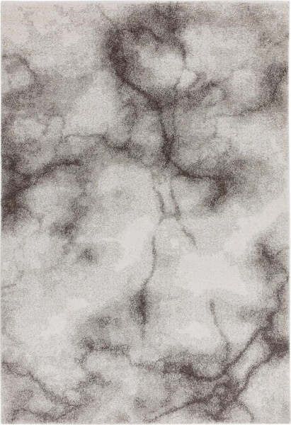 Šedý koberec 120x170 cm Dream – Asiatic Carpets