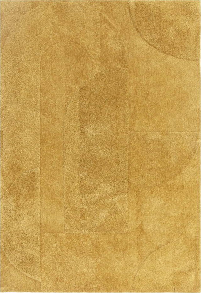 Okrově žlutý koberec 120x170 cm Tova – Asiatic Carpets