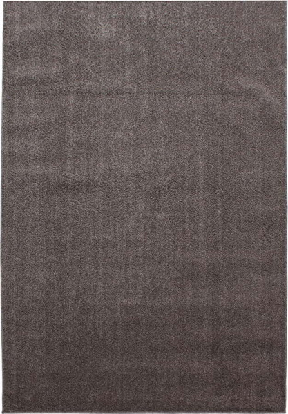 Hnědý koberec 120x170 cm Ata – Ayyildiz Carpets