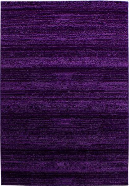 Tmavě fialový koberec 80x150 cm Plus – Ayyildiz Carpets